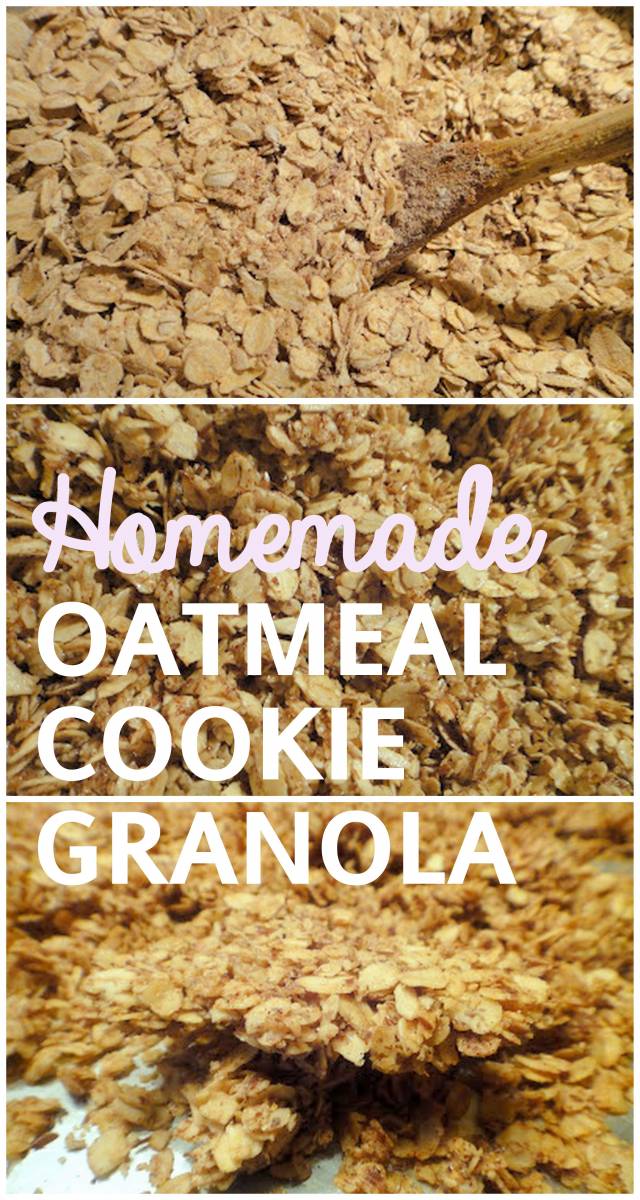 oatmeal cookie granola