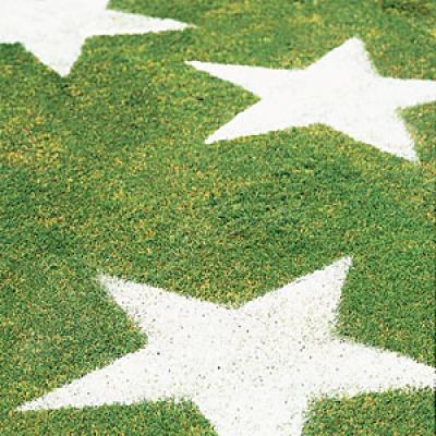 stars-on-lawn-m