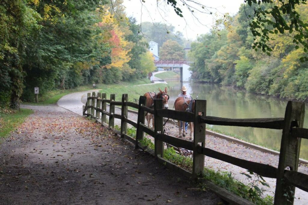 Erie Canal Field Trip + Free Printable Report All Things with Purpose Sarah Lemp 26