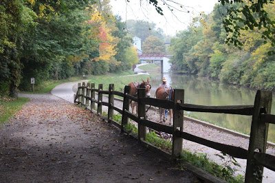 Erie Canal Field Trip + Free Printable Report All Things with Purpose Sarah Lemp 79