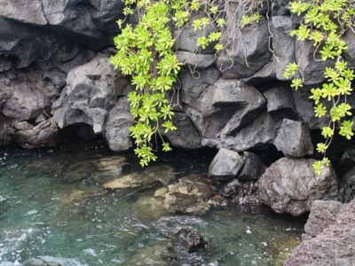 Maui Mondays: Road to Hana All Things with Purpose Sarah Lemp 25