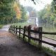 Erie Canal Field Trip + Free Printable Report