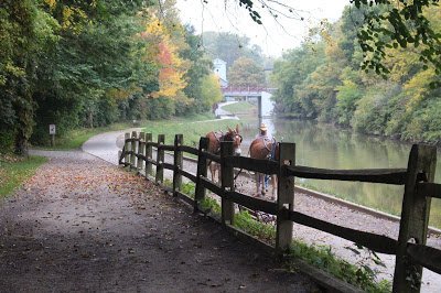 Erie Canal Field Trip + Free Printable Report