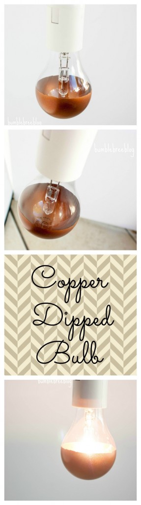 Copper Dipped Light Bulb