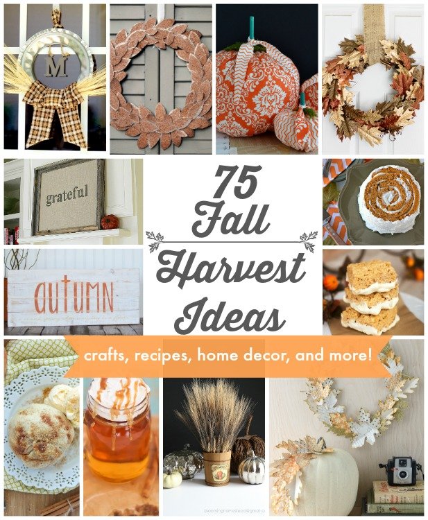 75 Fall Harvest Ideas