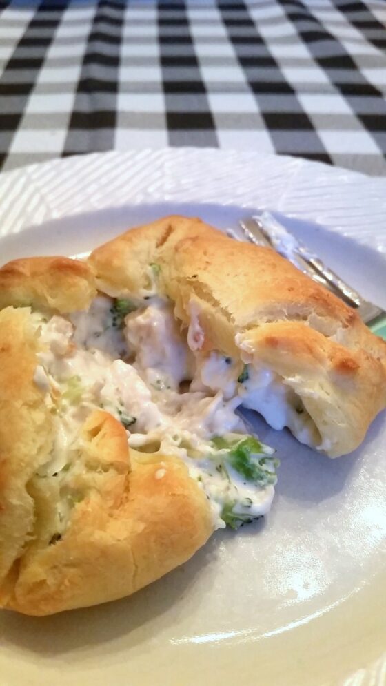 Quick and Easy Chicken Squares