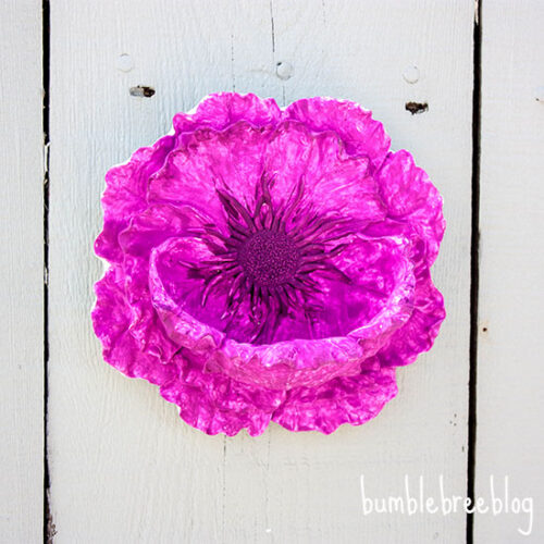 Backyard Flower Niche