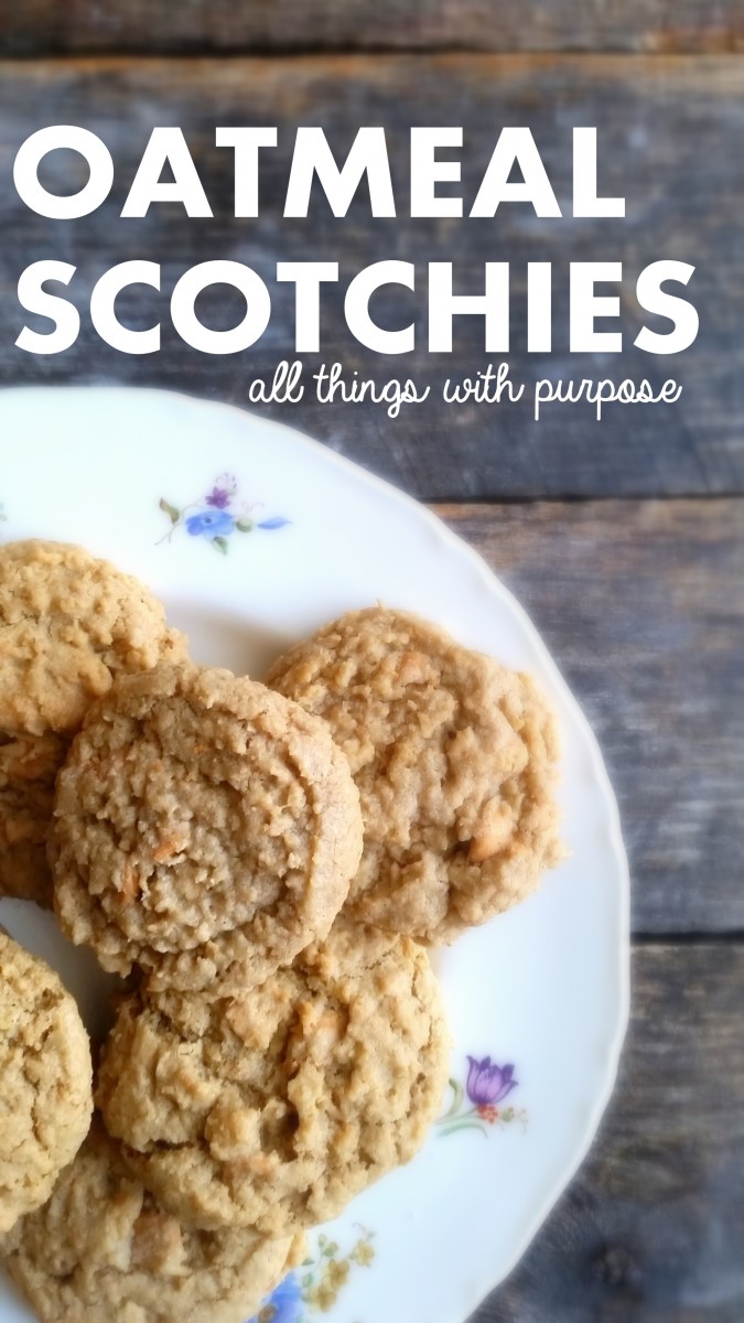 oatmeal scotchies cookie