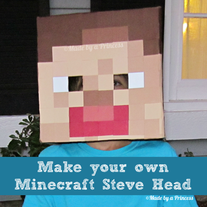 minecraft-steve-head costume