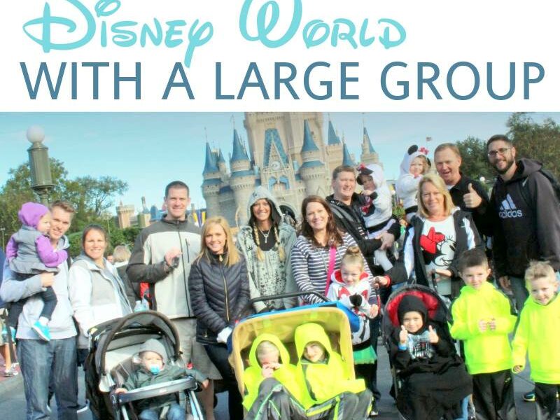 Visiting Disney World with a Large Group