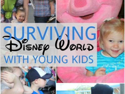 Surviving and Thriving at Disney World with Young Kids