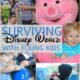 Surviving and Thriving at Disney World with Young Kids