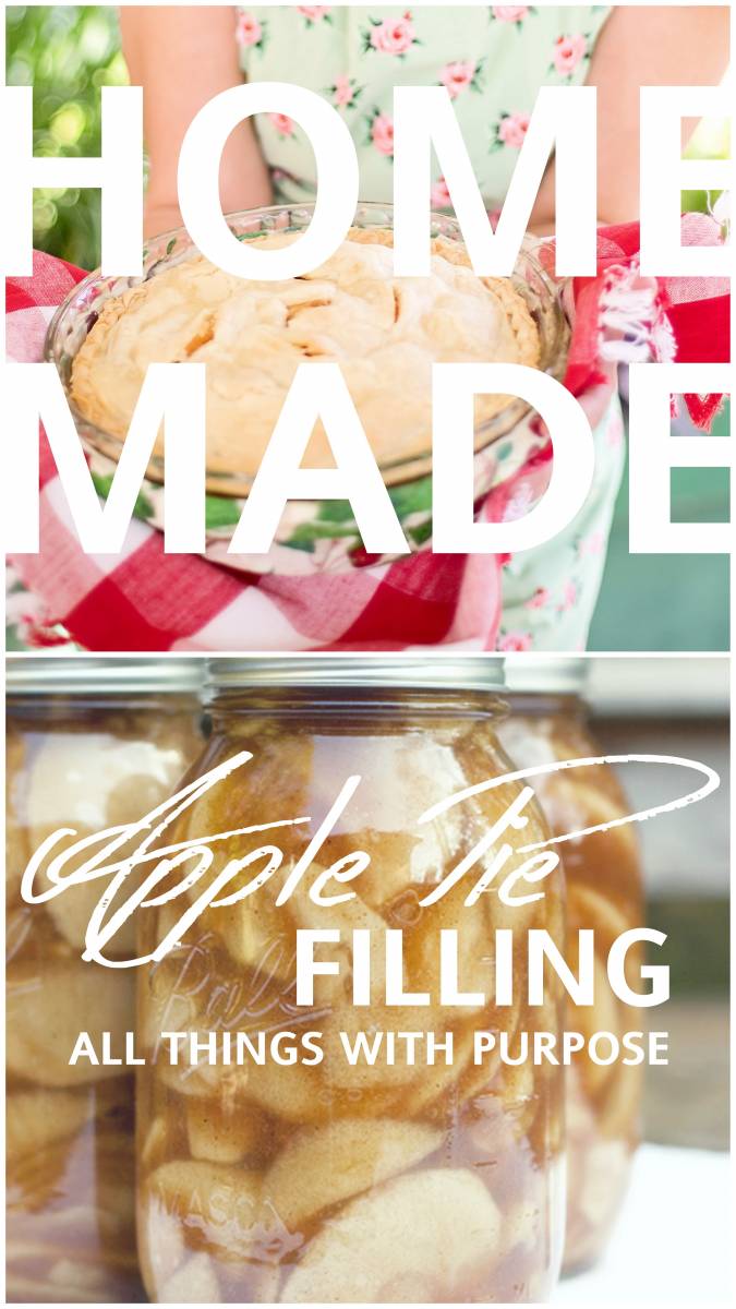 HOMEMADE APPLE PIE FILLING