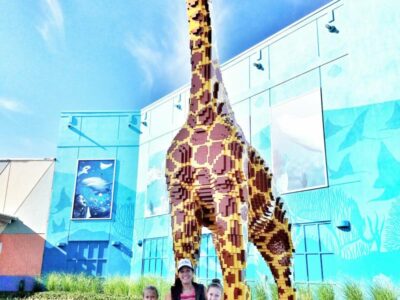 Homeschool Days at Legoland and Sea Life Michigan 7