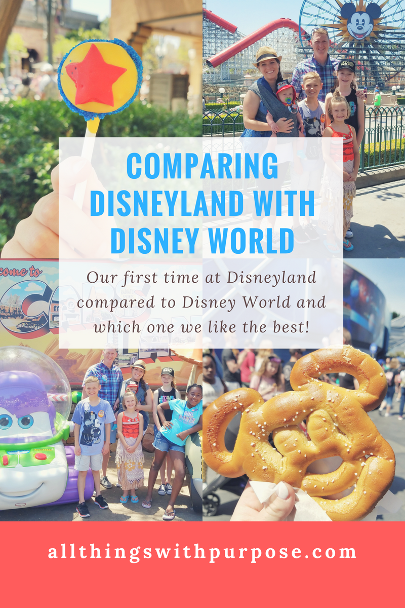 Disneyland Compared To Disney World Which One Do We Like