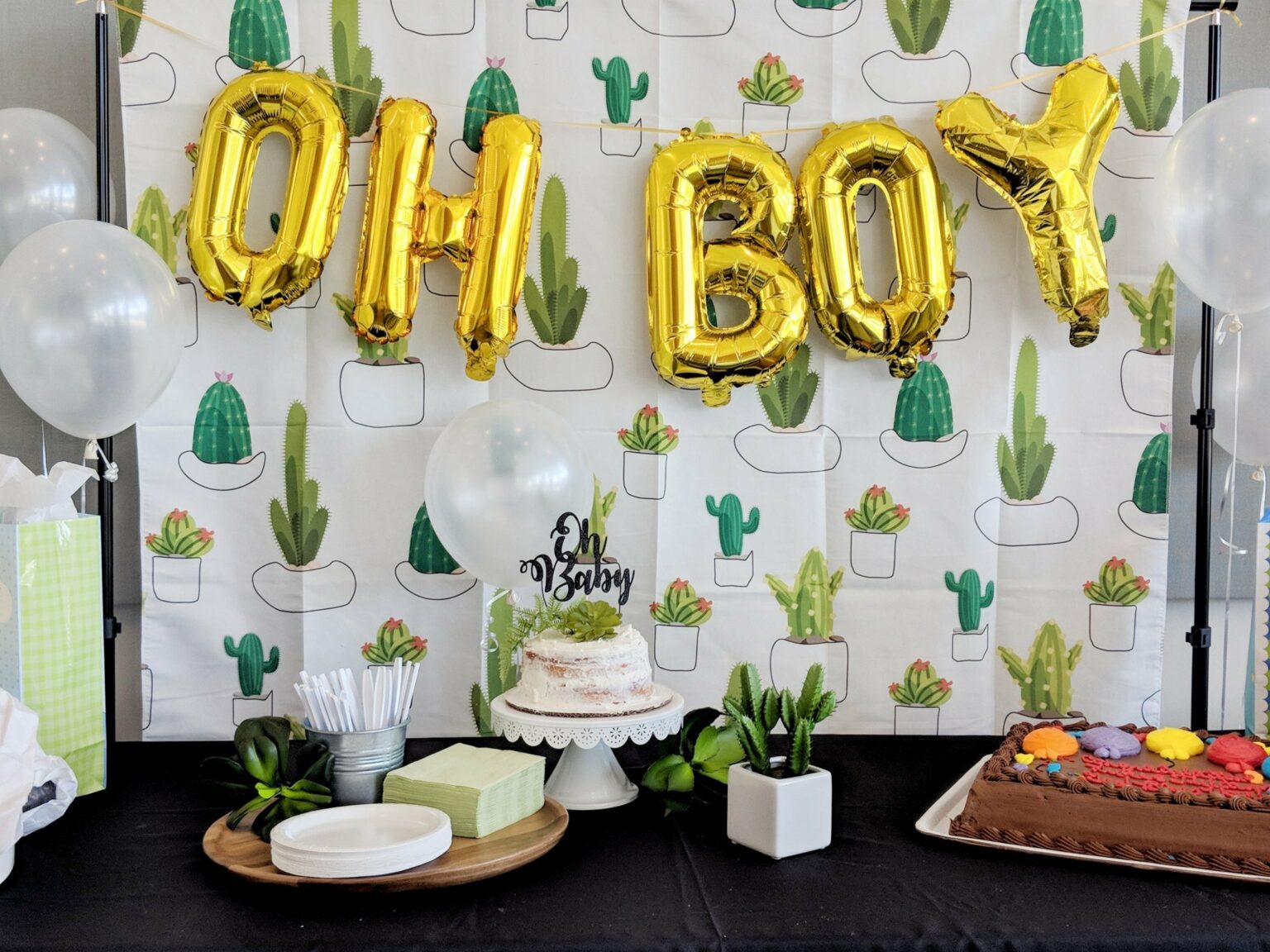 Cactus Themed Baby Shower