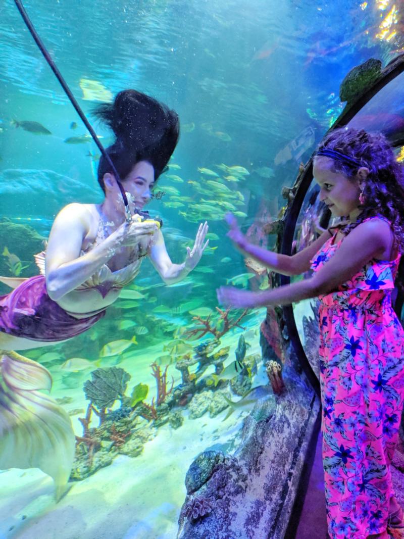 Meet the Mermaids at SEA LIFE Aquarium in Auburn Hills, Michigan