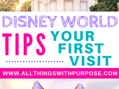 Disney World 101: Know Before You Go for the First Time All Things with Purpose Sarah Lemp