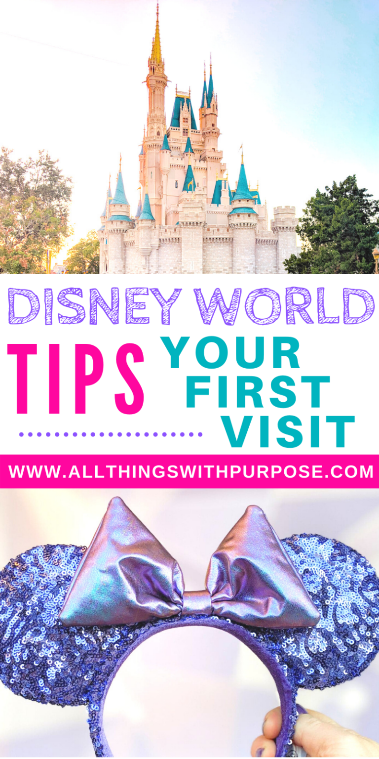 Disney World 101 Know Before You Go for the First Time