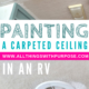 RV Problem Solving: Painting a Carpeted Ceiling All Things with Purpose Sarah Lemp