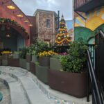 What to See and Do at the SeaWorld Orlando Christmas Celebration All Things with Purpose Sarah Lemp 22
