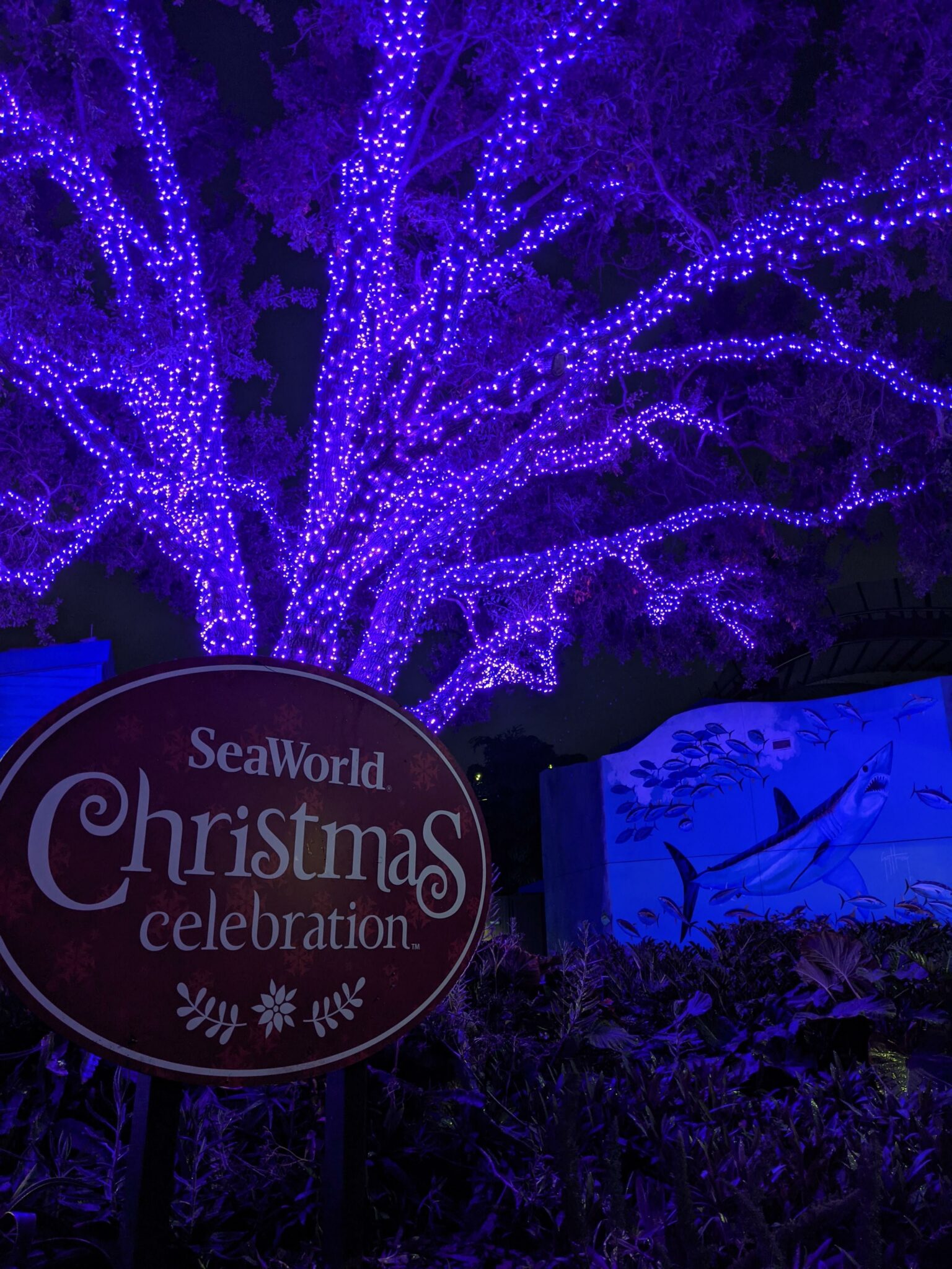 What to See and Do at the SeaWorld Orlando Christmas Celebration All Things with Purpose Sarah Lemp 38