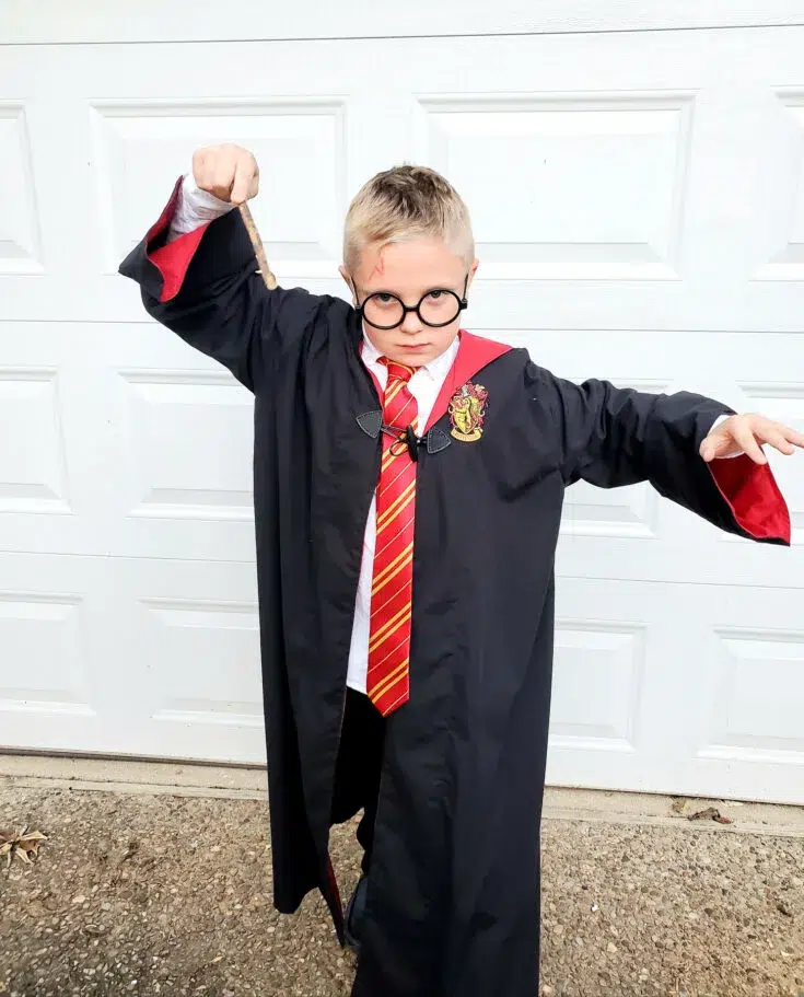 12 DIY Harry Potter Themed Costumes