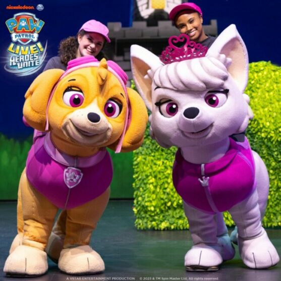 PAW Patrol Live! Heroes Unite  Show Details, Characters, & More!